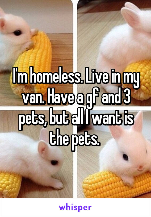 I'm homeless. Live in my van. Have a gf and 3 pets, but all I want is the pets. 