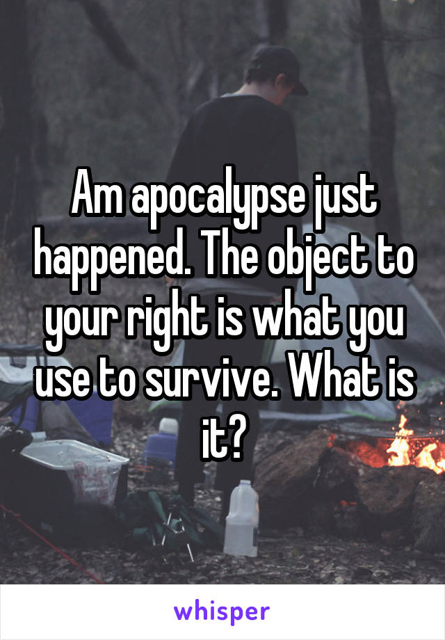 Am apocalypse just happened. The object to your right is what you use to survive. What is it?