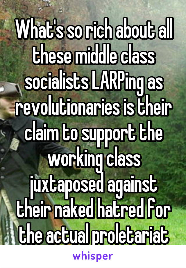 What's so rich about all these middle class socialists LARPing as revolutionaries is their claim to support the working class juxtaposed against their naked hatred for the actual proletariat