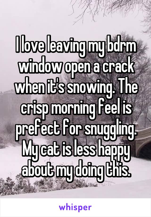 I love leaving my bdrm window open a crack when it's snowing. The crisp morning feel is prefect for snuggling. My cat is less happy about my doing this.