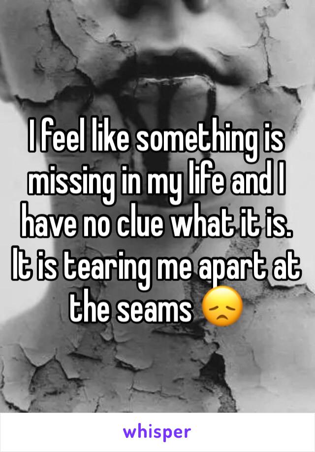 I feel like something is missing in my life and I have no clue what it is. It is tearing me apart at the seams 😞