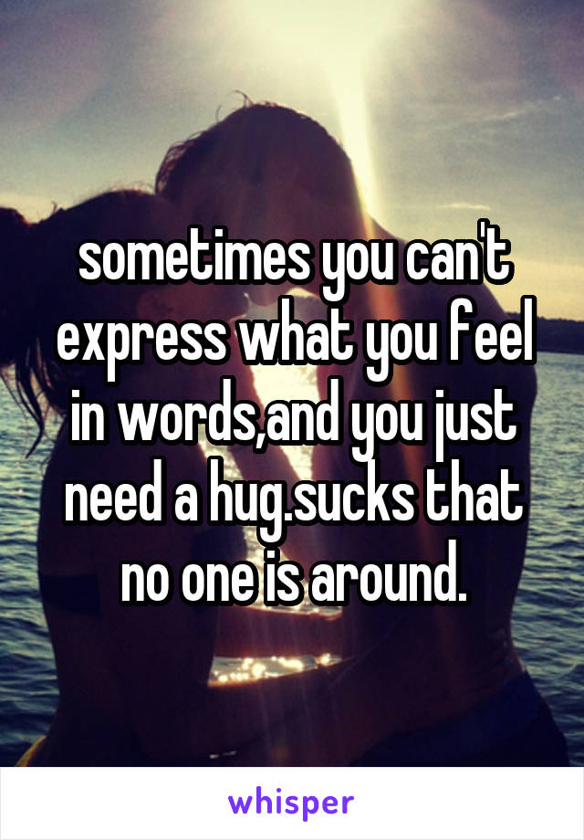 sometimes you can't express what you feel in words,and you just need a hug.sucks that no one is around.