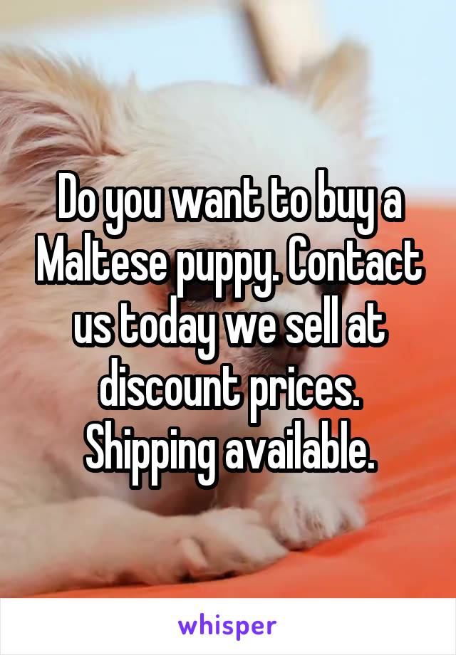 Do you want to buy a Maltese puppy. Contact us today we sell at discount prices. Shipping available.