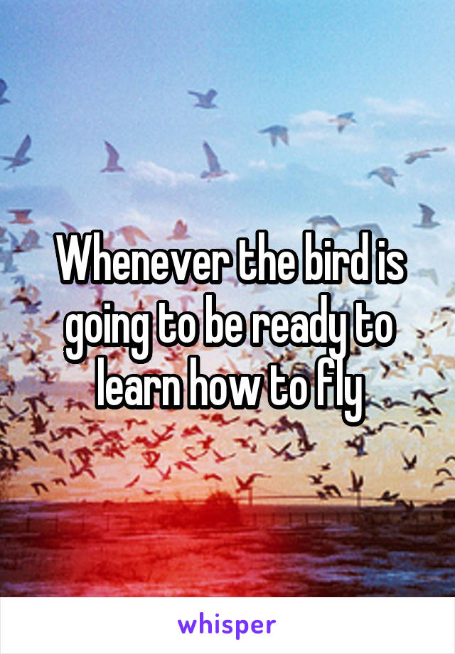 Whenever the bird is going to be ready to learn how to fly