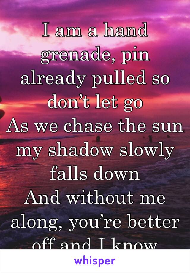 I am a hand grenade, pin already pulled so don’t let go
As we chase the sun my shadow slowly falls down
And without me along, you’re better off and I know