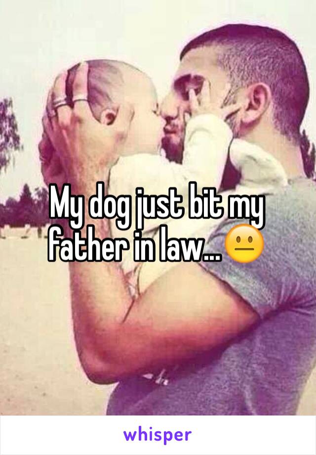 My dog just bit my father in law...😐