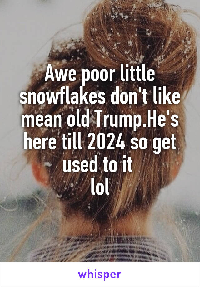 Awe poor little snowflakes don't like mean old Trump.He's here till 2024 so get used to it 
lol

