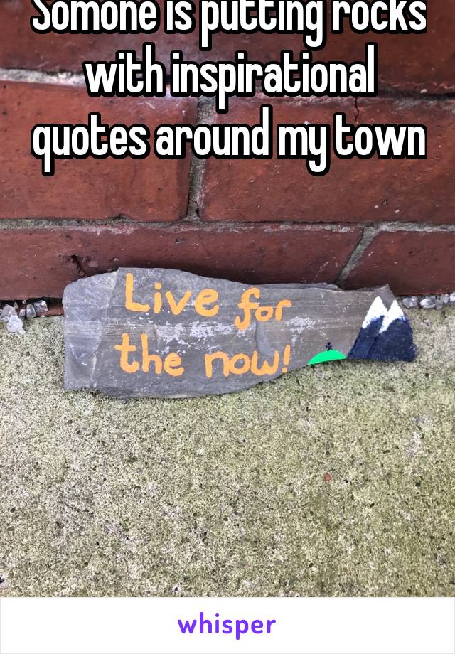 Somone is putting rocks with inspirational quotes around my town 







