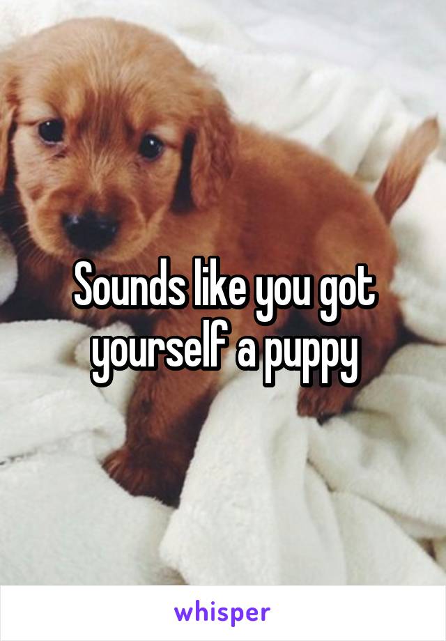 Sounds like you got yourself a puppy