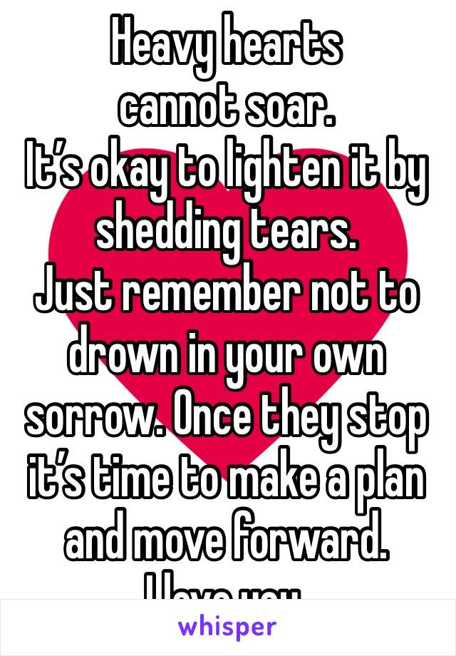 Heavy hearts cannot soar. 
It’s okay to lighten it by shedding tears. 
Just remember not to drown in your own sorrow. Once they stop it’s time to make a plan and move forward. 
I love you. 