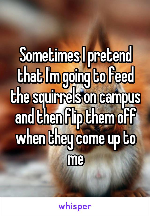 Sometimes I pretend that I'm going to feed the squirrels on campus and then flip them off when they come up to me