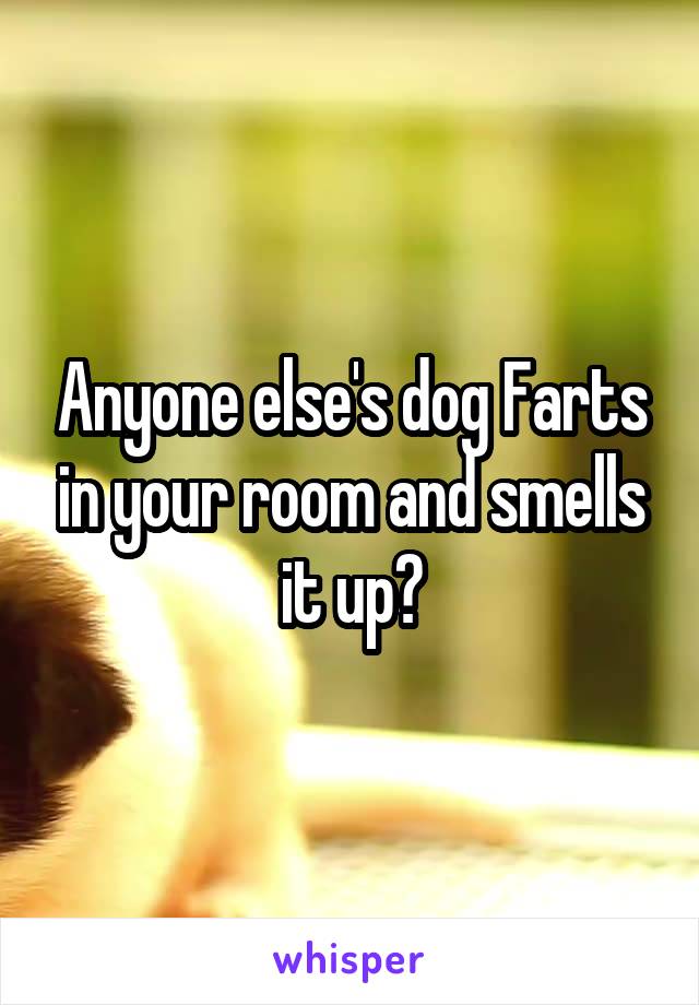 Anyone else's dog Farts in your room and smells it up?