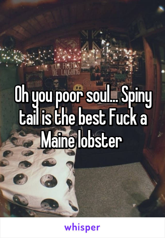 Oh you poor soul... Spiny tail is the best Fuck a Maine lobster 