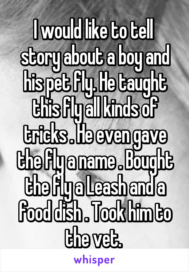 I would like to tell  story about a boy and his pet fly. He taught this fly all kinds of tricks . He even gave the fly a name . Bought the fly a Leash and a food dish . Took him to the vet. 