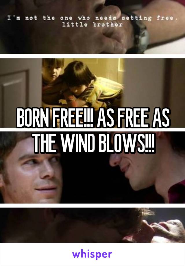BORN FREE!!! AS FREE AS THE WIND BLOWS!!!