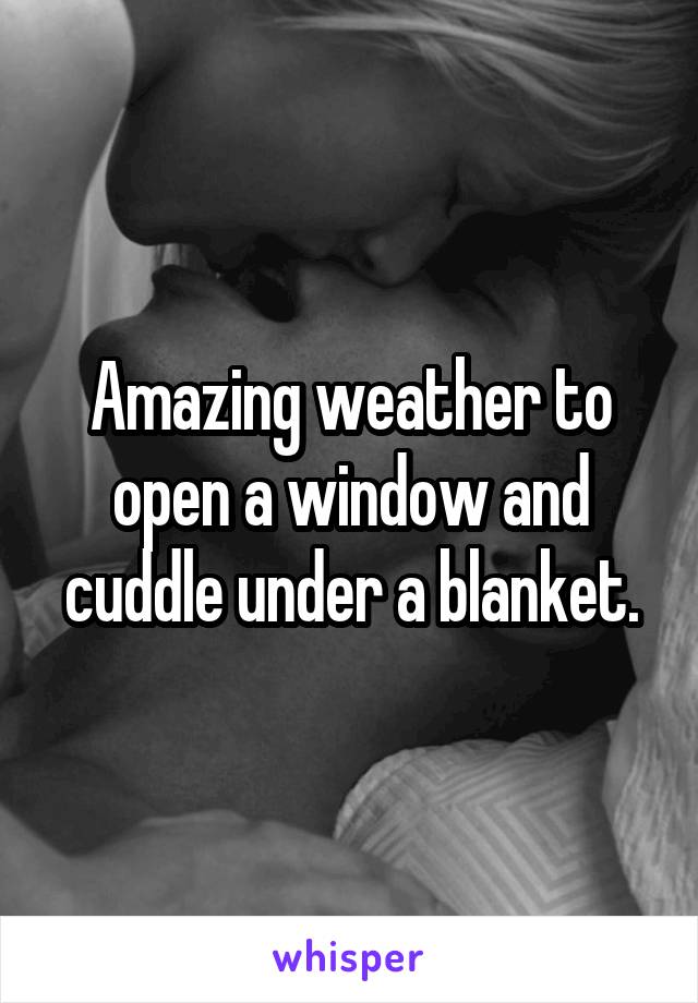 Amazing weather to open a window and cuddle under a blanket.
