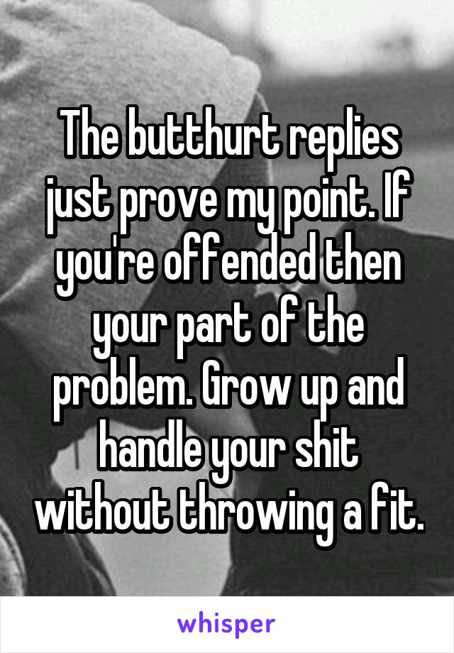 The butthurt replies just prove my point. If you're offended then your part of the problem. Grow up and handle your shit without throwing a fit.