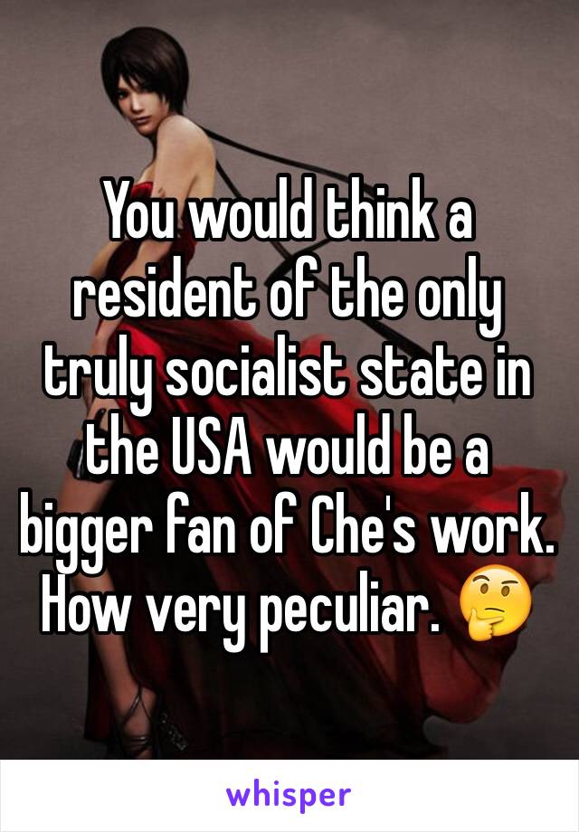 You would think a resident of the only truly socialist state in the USA would be a bigger fan of Che's work. How very peculiar. 🤔