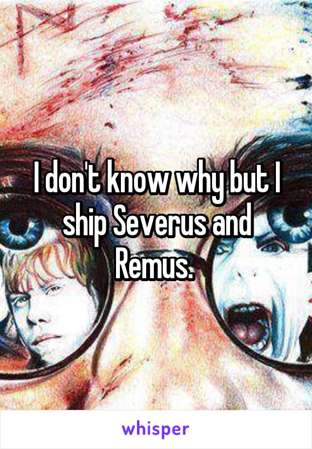 I don't know why but I ship Severus and Remus. 