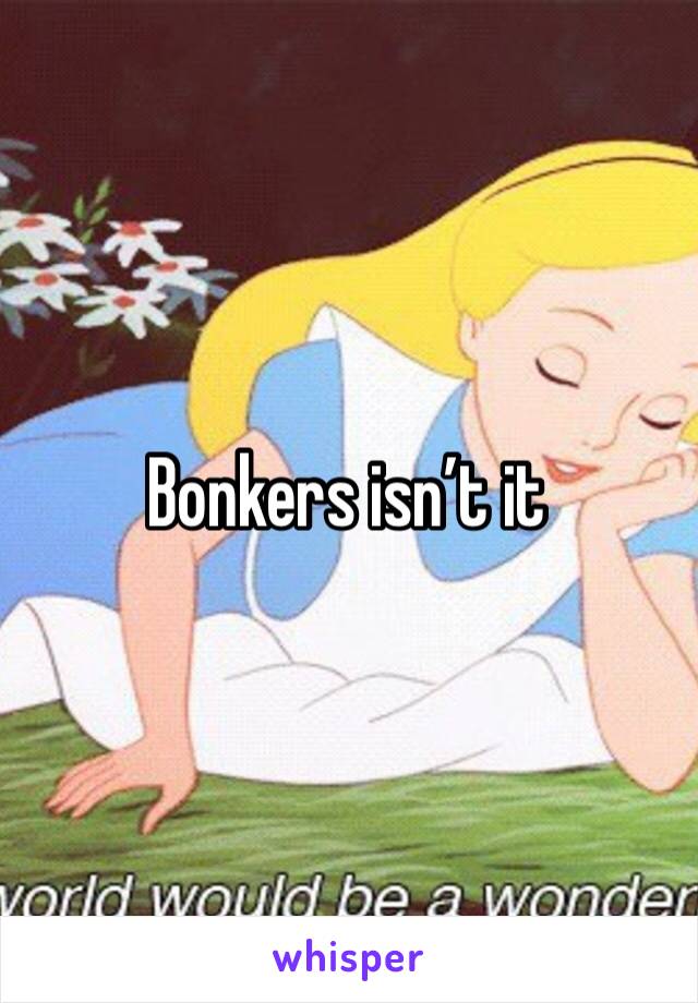 Bonkers isn’t it