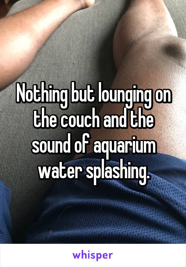 Nothing but lounging on the couch and the sound of aquarium water splashing.