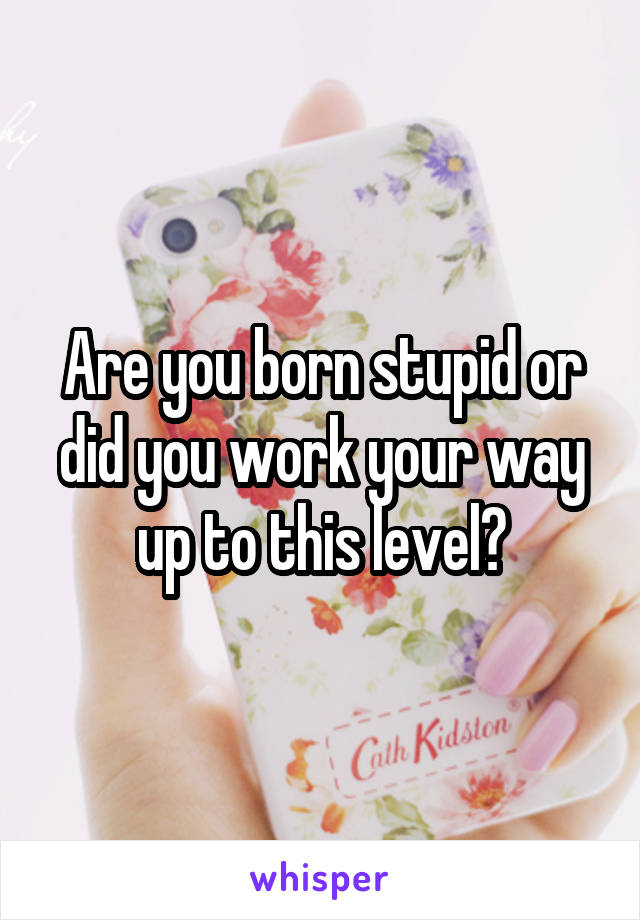 Are you born stupid or did you work your way up to this level?