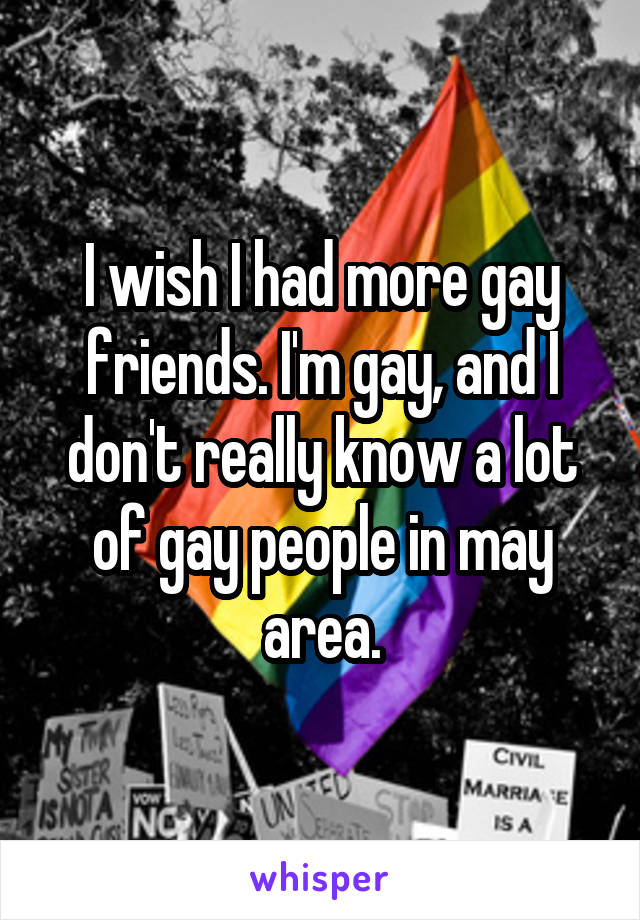 I wish I had more gay friends. I'm gay, and I don't really know a lot of gay people in may area.