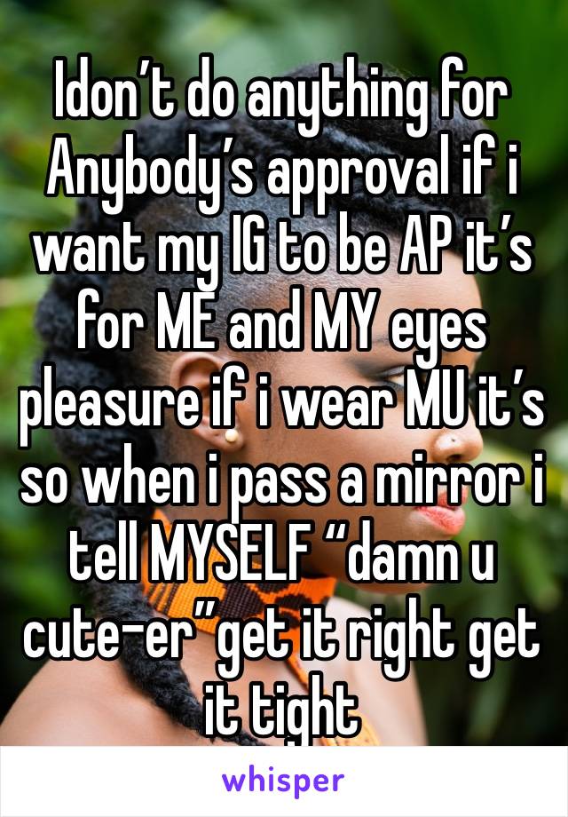 Idon’t do anything for Anybody’s approval if i want my IG to be AP it’s for ME and MY eyes pleasure if i wear MU it’s so when i pass a mirror i tell MYSELF “damn u cute-er”get it right get it tight