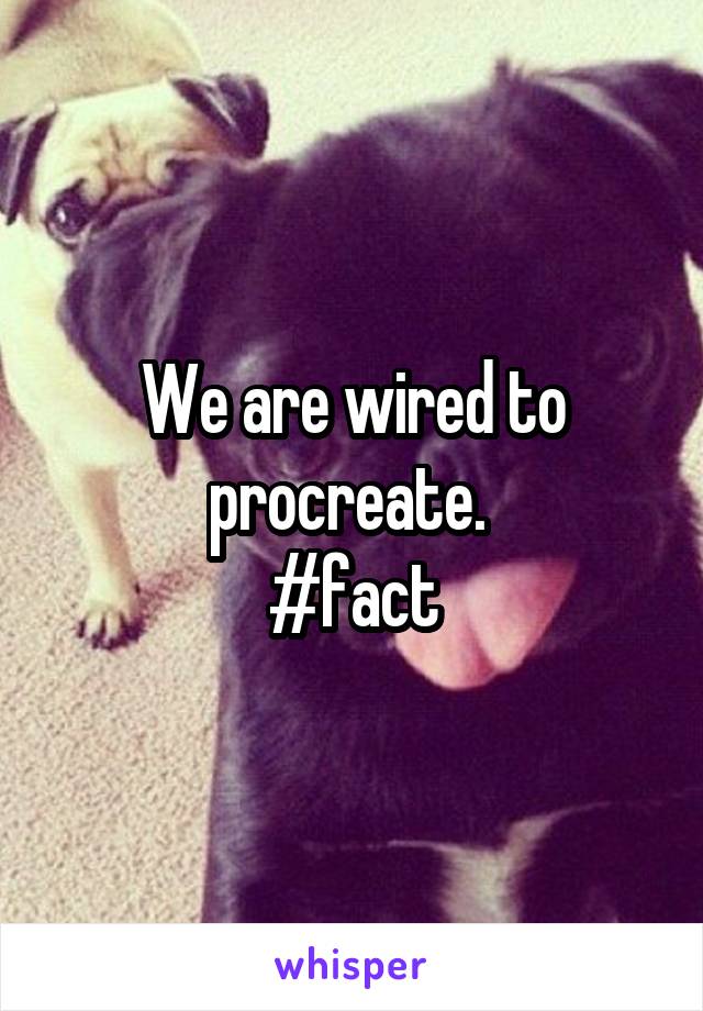 We are wired to procreate. 
#fact