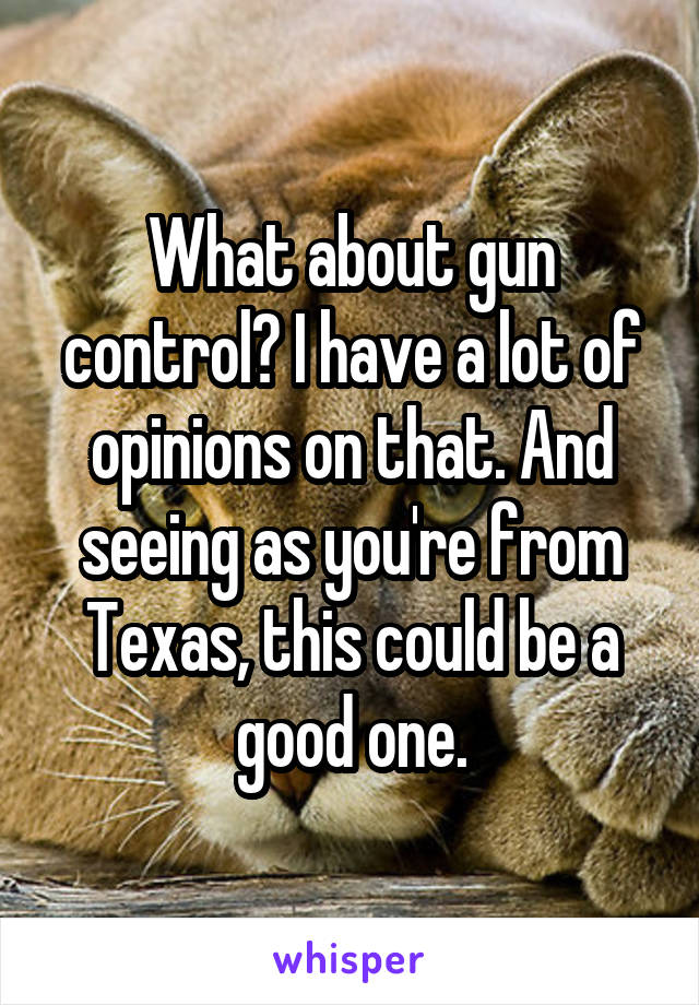 What about gun control? I have a lot of opinions on that. And seeing as you're from Texas, this could be a good one.