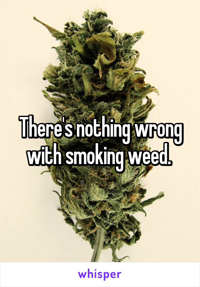 There's nothing wrong with smoking weed. 