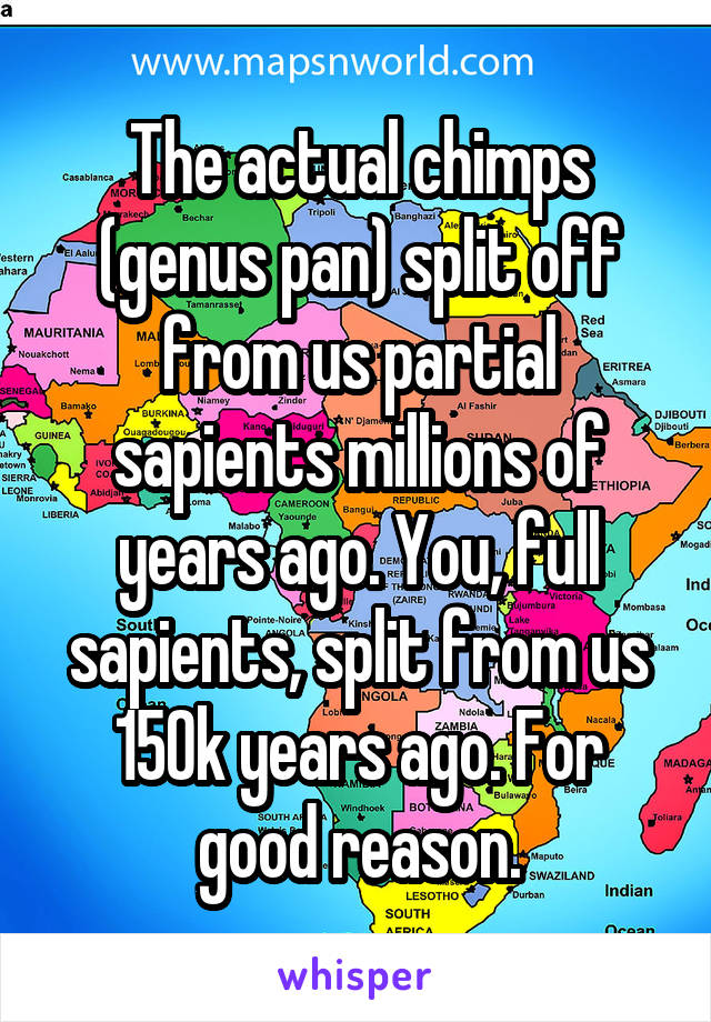 The actual chimps (genus pan) split off from us partial sapients millions of years ago. You, full sapients, split from us 150k years ago. For good reason.