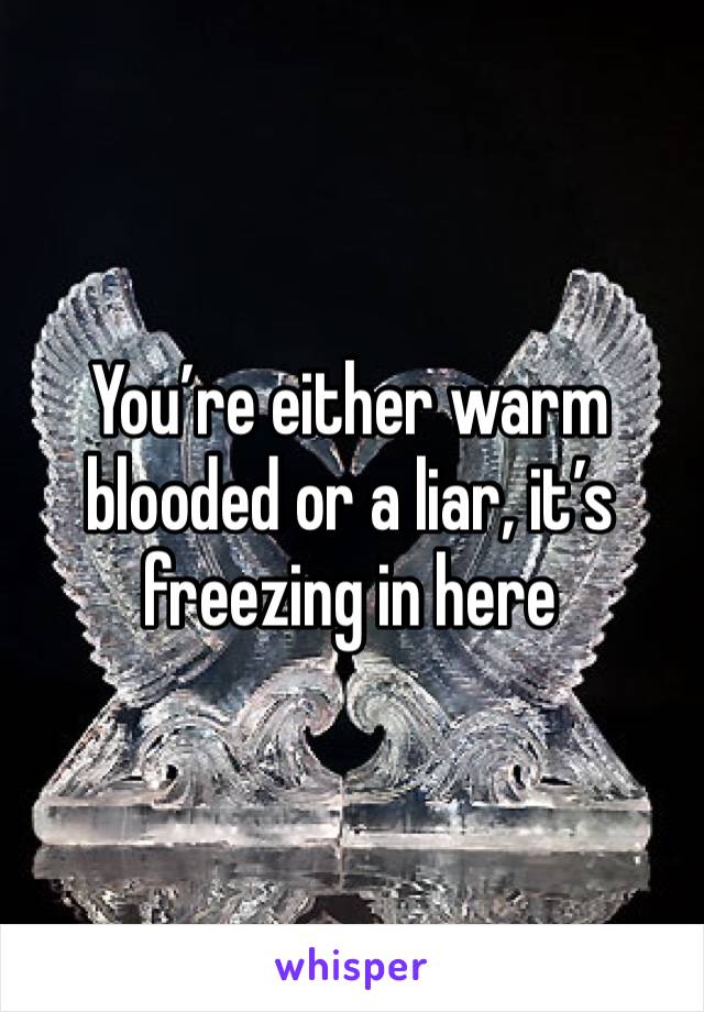 You’re either warm blooded or a liar, it’s freezing in here
