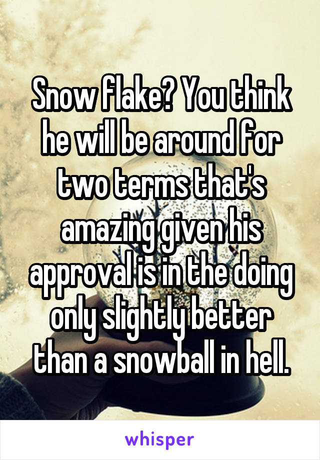 Snow flake? You think he will be around for two terms that's amazing given his approval is in the doing only slightly better than a snowball in hell.