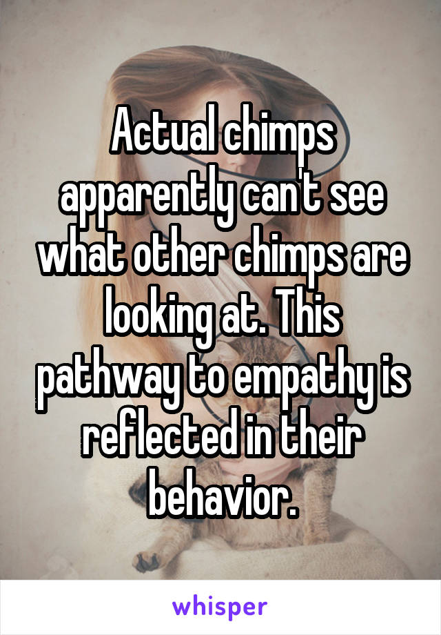 Actual chimps apparently can't see what other chimps are looking at. This pathway to empathy is reflected in their behavior.