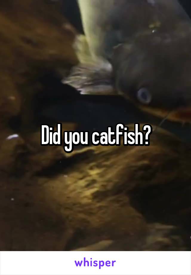 Did you catfish?