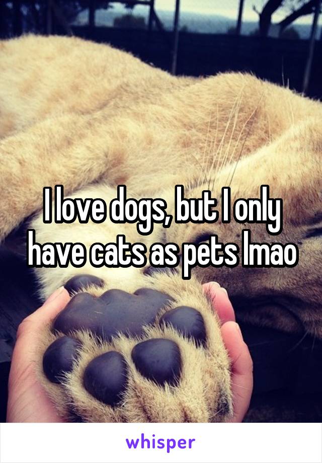 I love dogs, but I only have cats as pets lmao