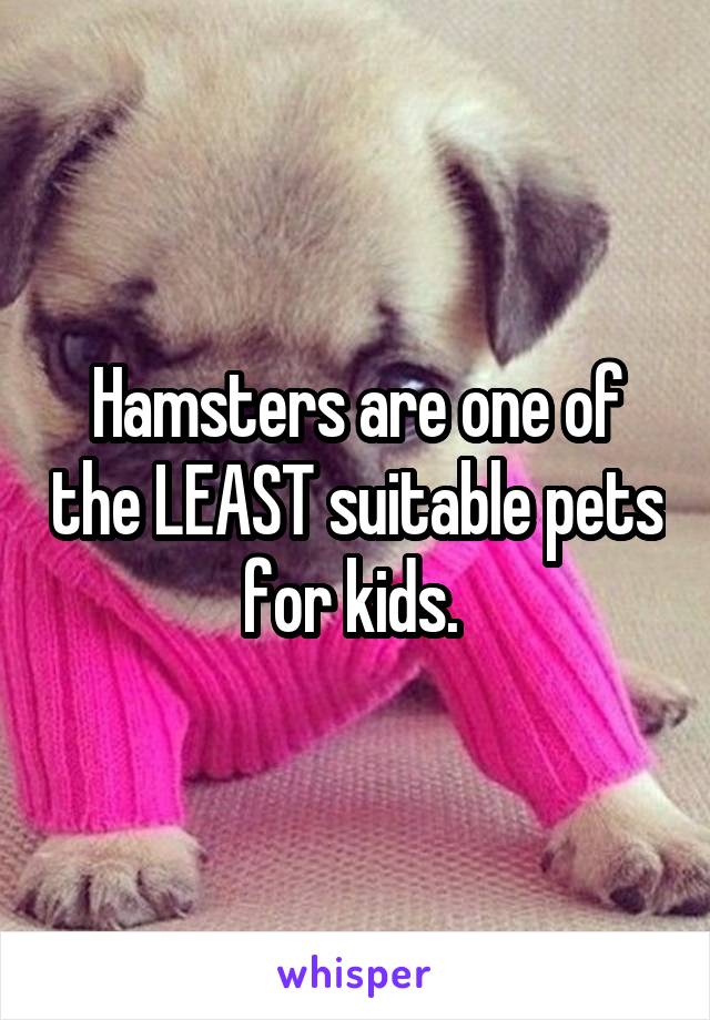 Hamsters are one of the LEAST suitable pets for kids. 