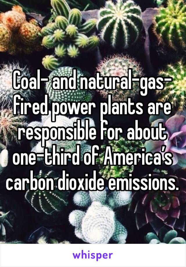 Coal- and natural-gas-fired power plants are responsible for about one-third of America’s carbon dioxide emissions. 