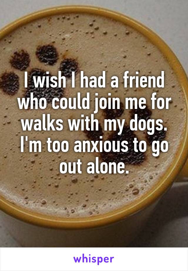 I wish I had a friend who could join me for walks with my dogs.
I'm too anxious to go out alone.
