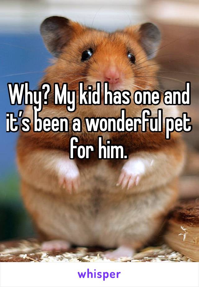 Why? My kid has one and it’s been a wonderful pet for him. 