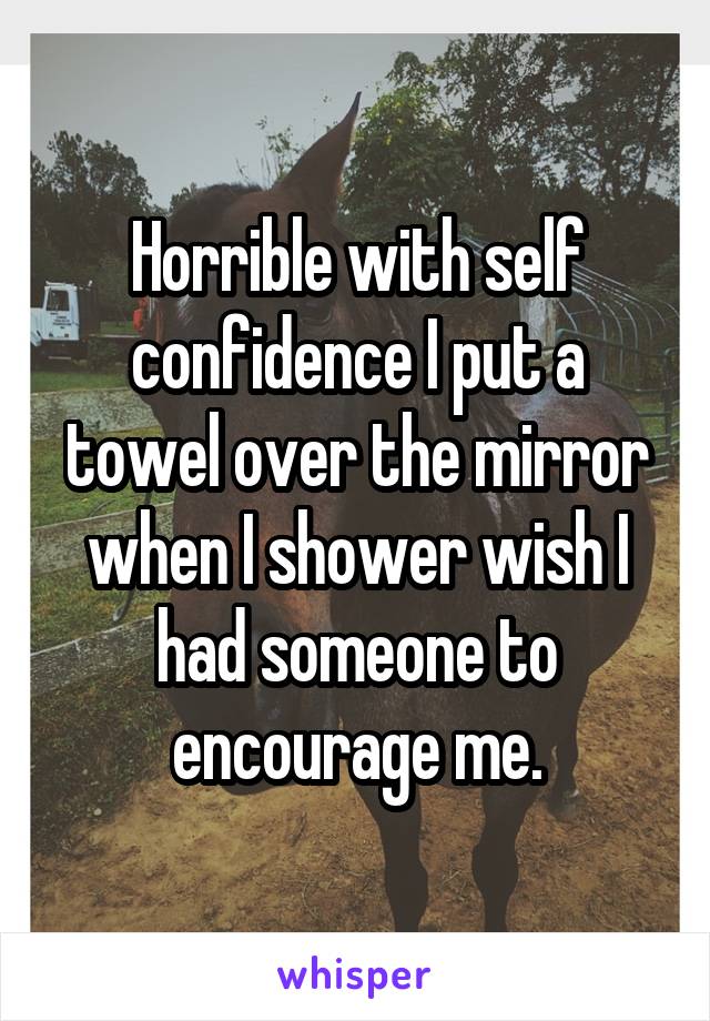 Horrible with self confidence I put a towel over the mirror when I shower wish I had someone to encourage me.