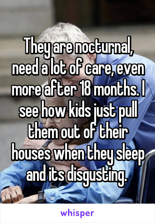 They are nocturnal, need a lot of care, even more after 18 months. I see how kids just pull them out of their houses when they sleep and its disgusting. 