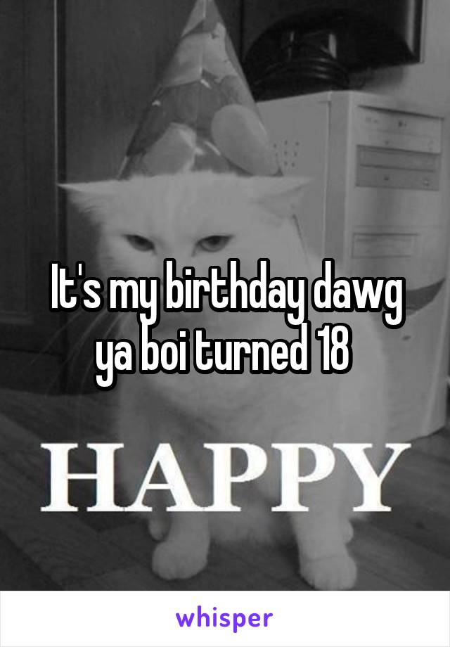 It's my birthday dawg ya boi turned 18 