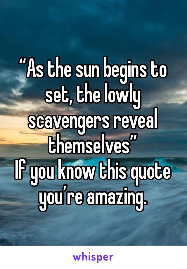“As the sun begins to set, the lowly scavengers reveal themselves”
If you know this quote you’re amazing.