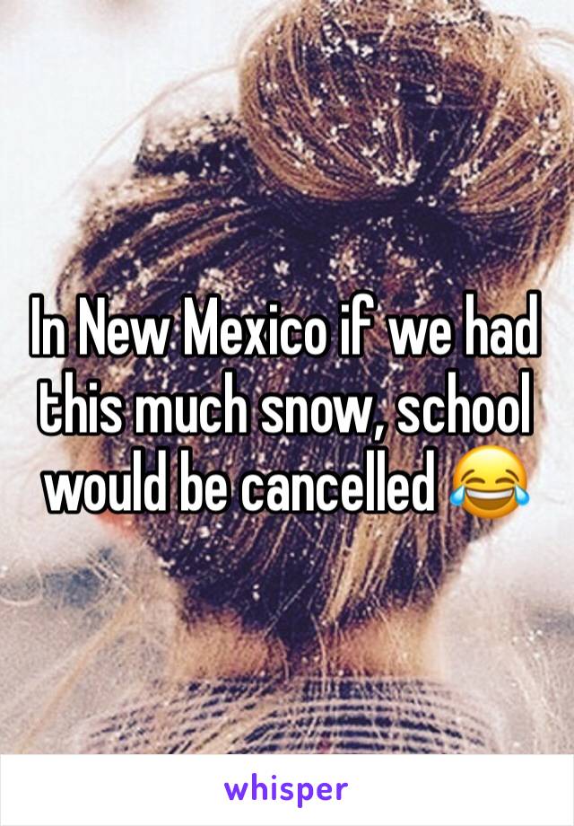 In New Mexico if we had this much snow, school would be cancelled 😂