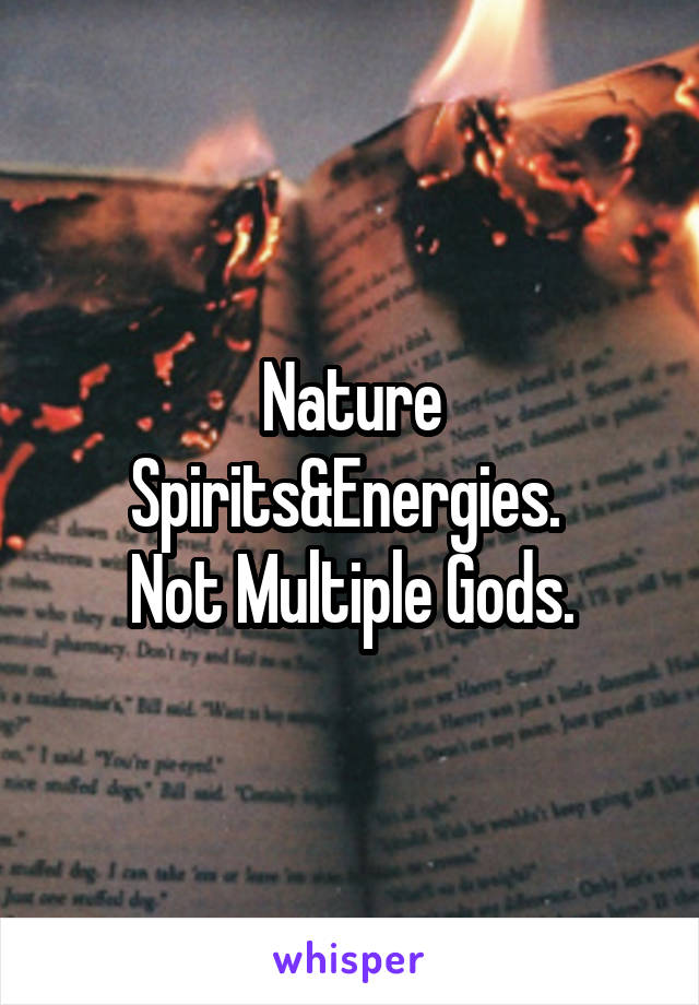 Nature Spirits&Energies. 
Not Multiple Gods.