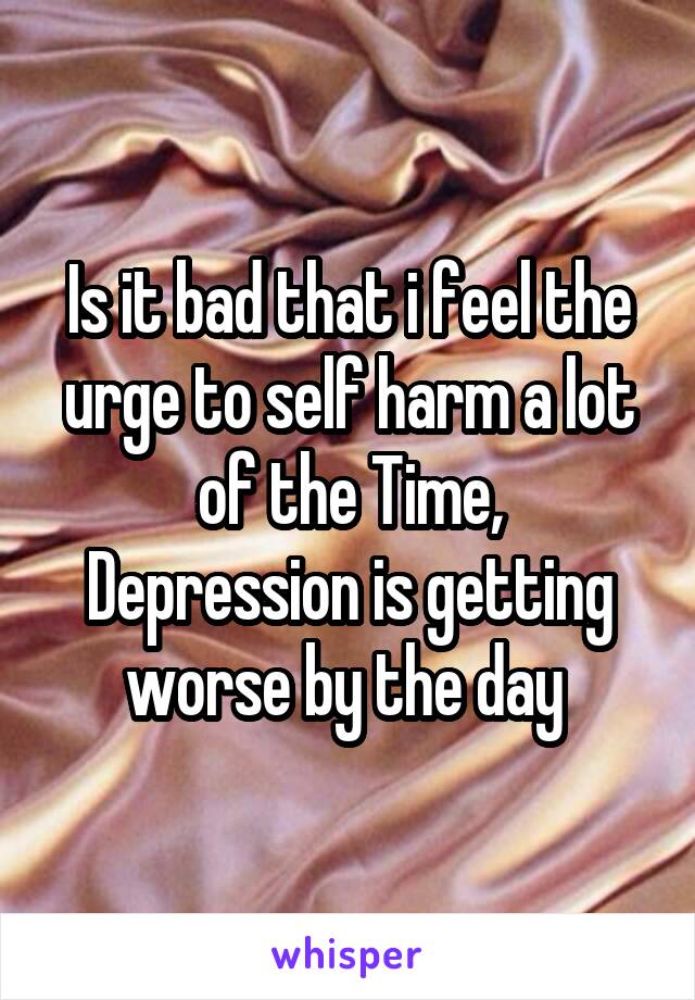Is it bad that i feel the urge to self harm a lot of the Time,
Depression is getting worse by the day 
