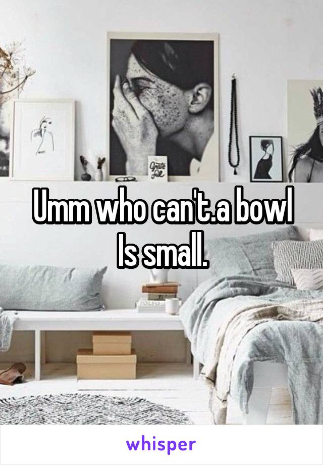Umm who can't.a bowl Is small.