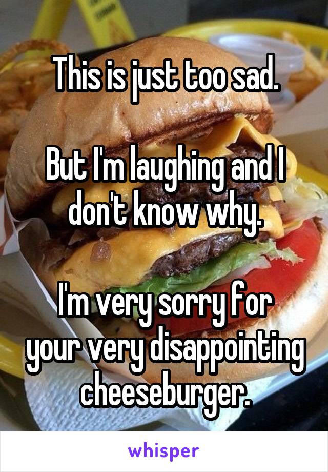 This is just too sad.

But I'm laughing and I don't know why.

I'm very sorry for your very disappointing cheeseburger.